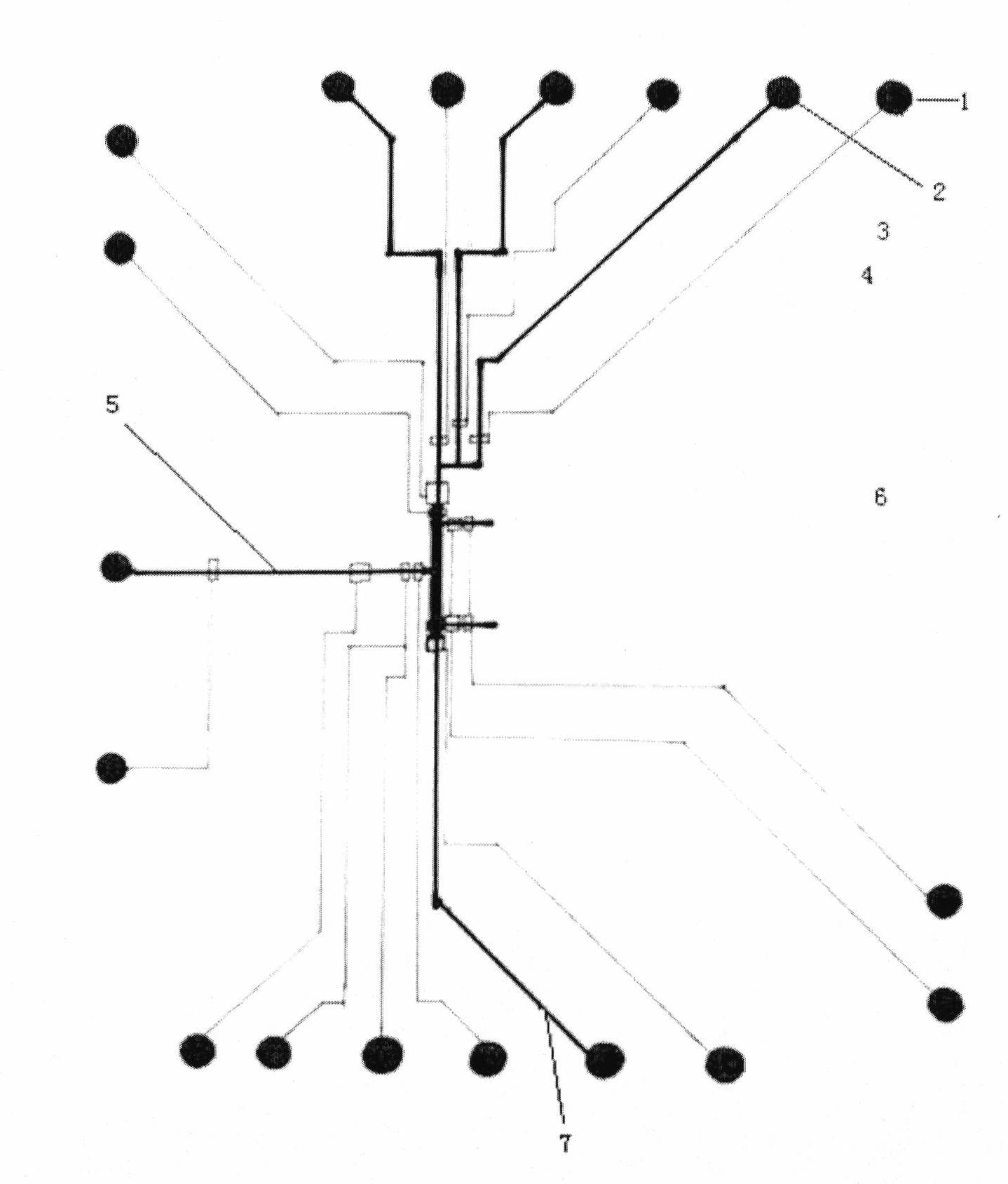 Microfluidic chip for rapid detection of saxitoxin and method for preparing same