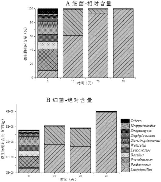 A Method for Absolute Quantification of Microbial Community Based on Multiple Internal Standard System