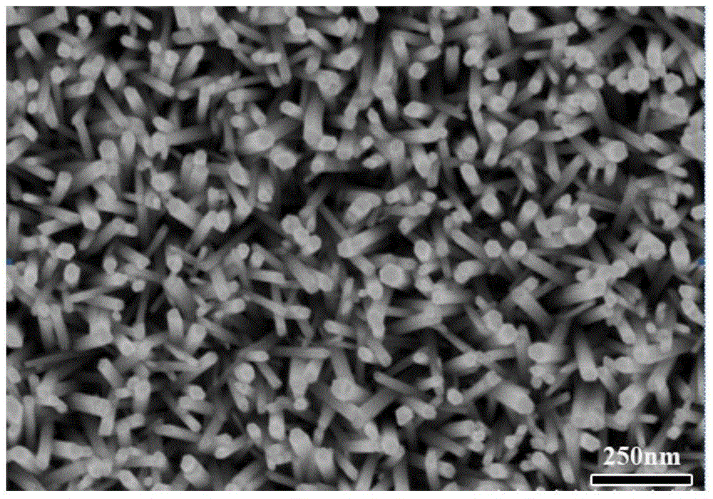 Cadmium sulfide and zinc oxide core-shell multilayer nanorod array photocatalytic material and preparation method thereof