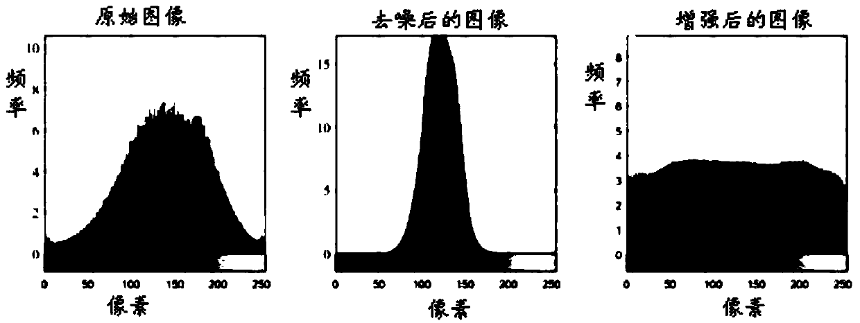 A vegetation coverage extraction method and system