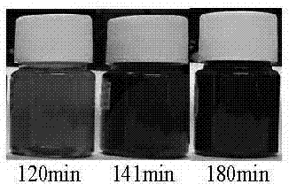 Hydrothermal method for preparing water-soluble graphene quantum dots