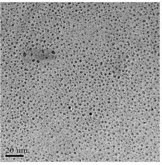 Hydrothermal method for preparing water-soluble graphene quantum dots