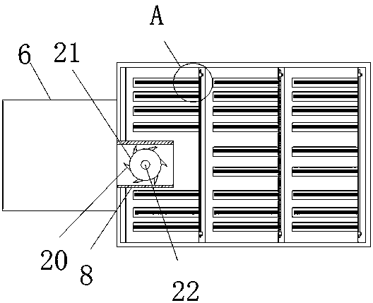 Seed removing and sorting machine