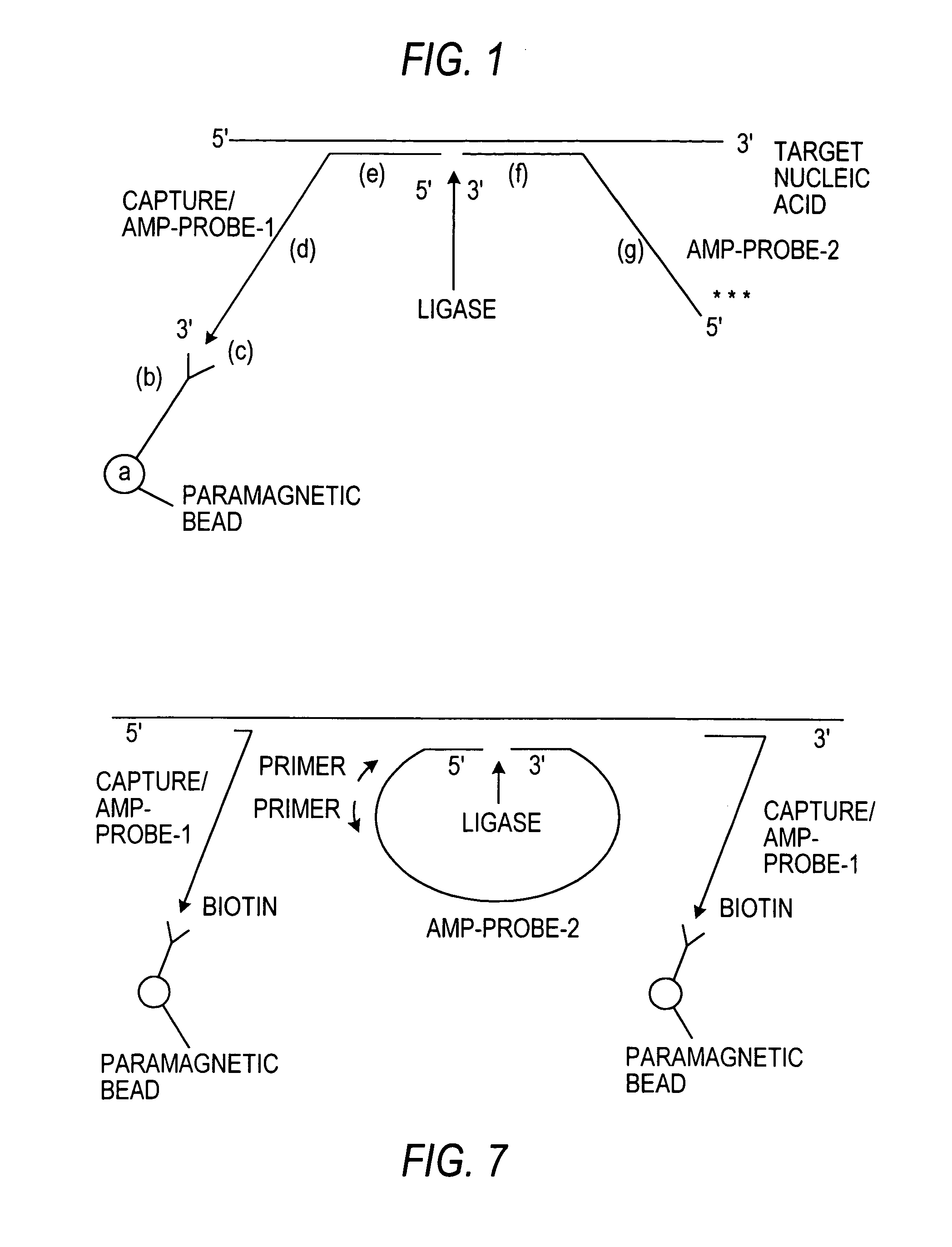 Nucleic acid amplification methods