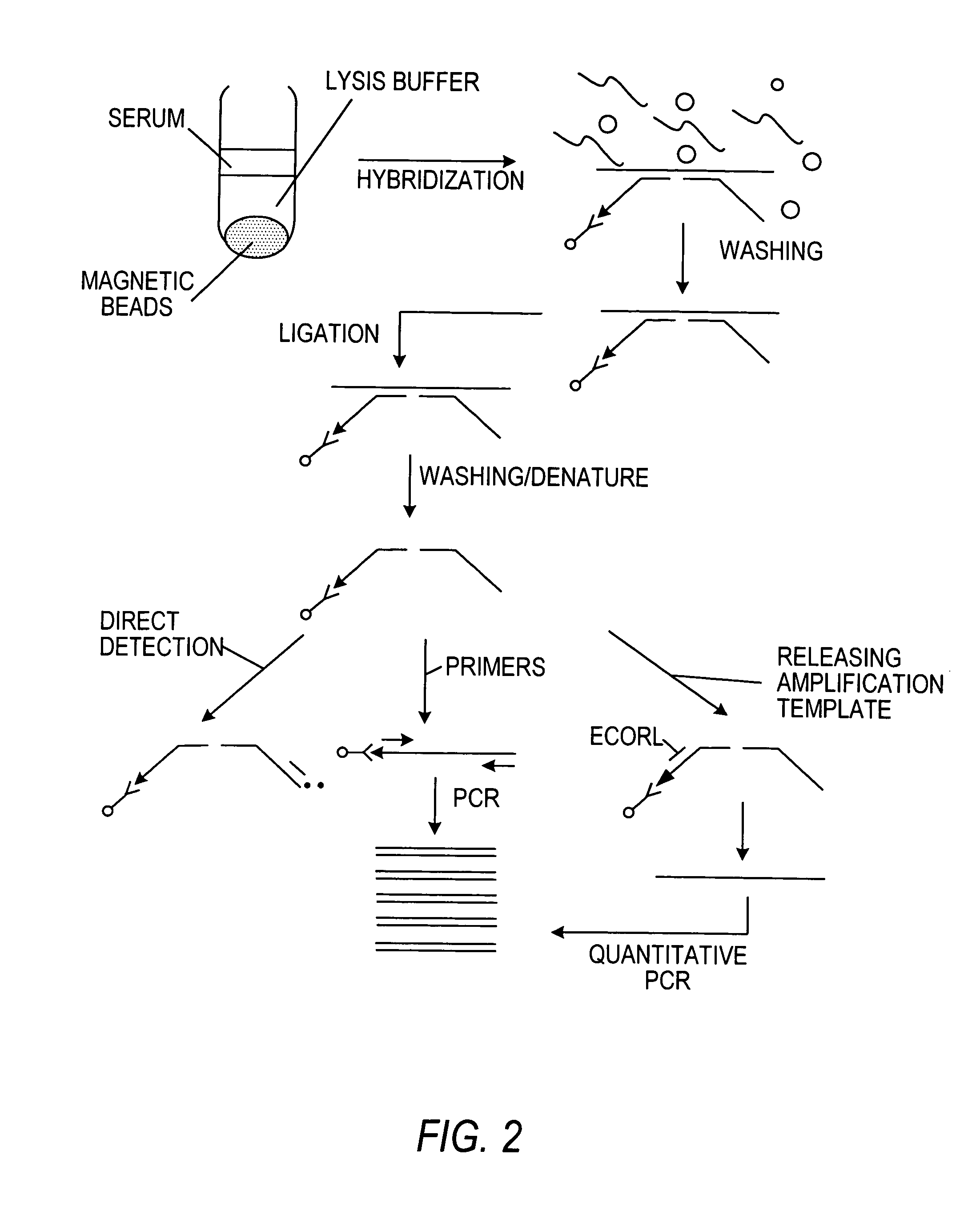 Nucleic acid amplification methods