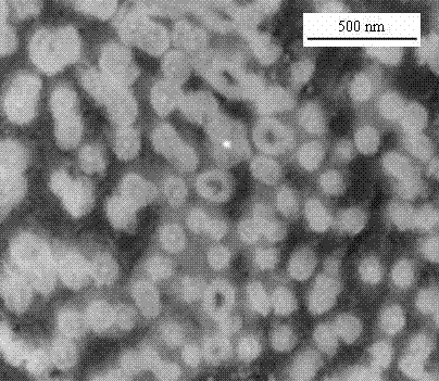 Method for preparing nano particle enhanced magnesium-based composite material