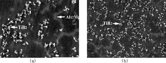 Method for preparing nano particle enhanced magnesium-based composite material