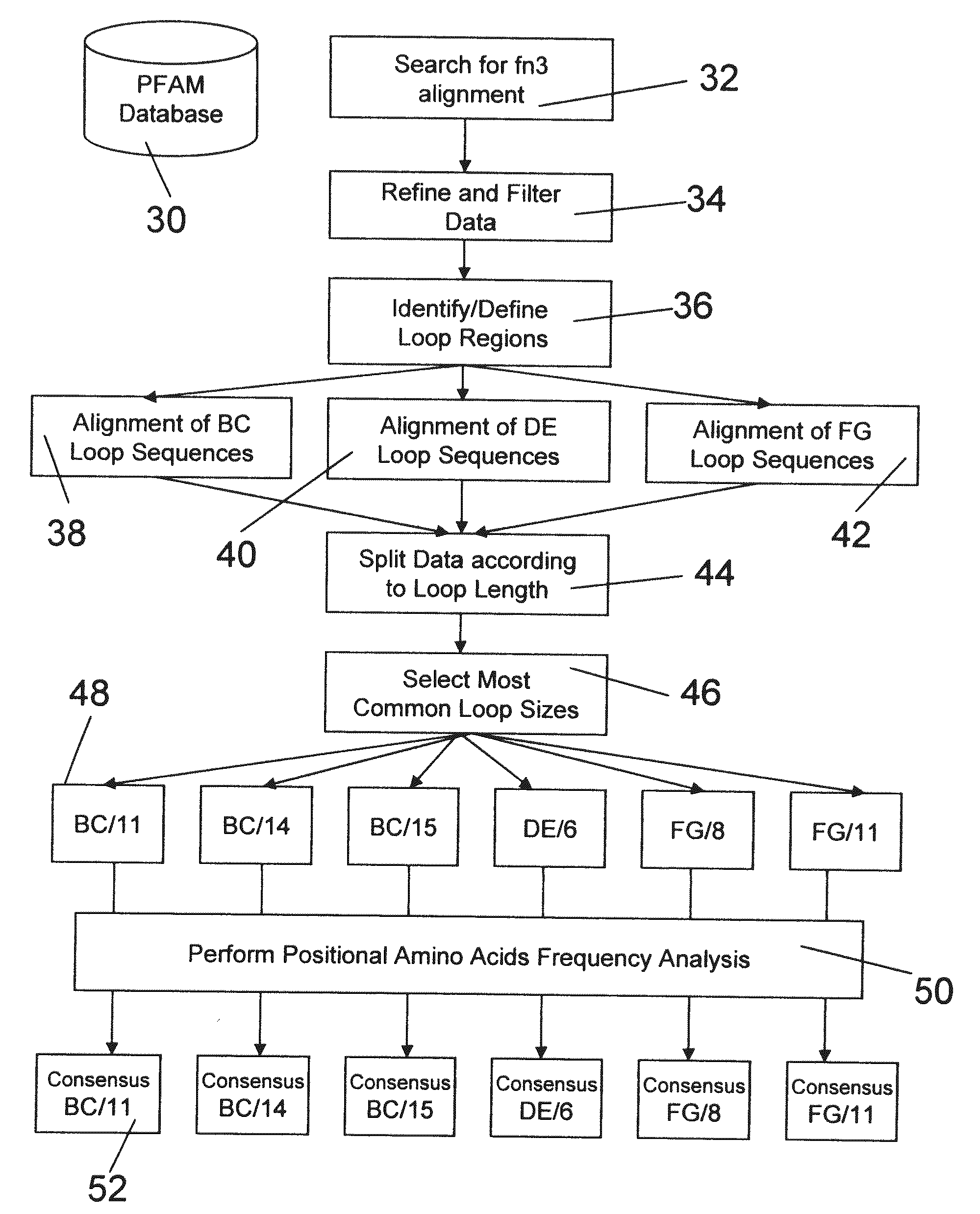 Universal fibronectin type iii binding-domain libraries