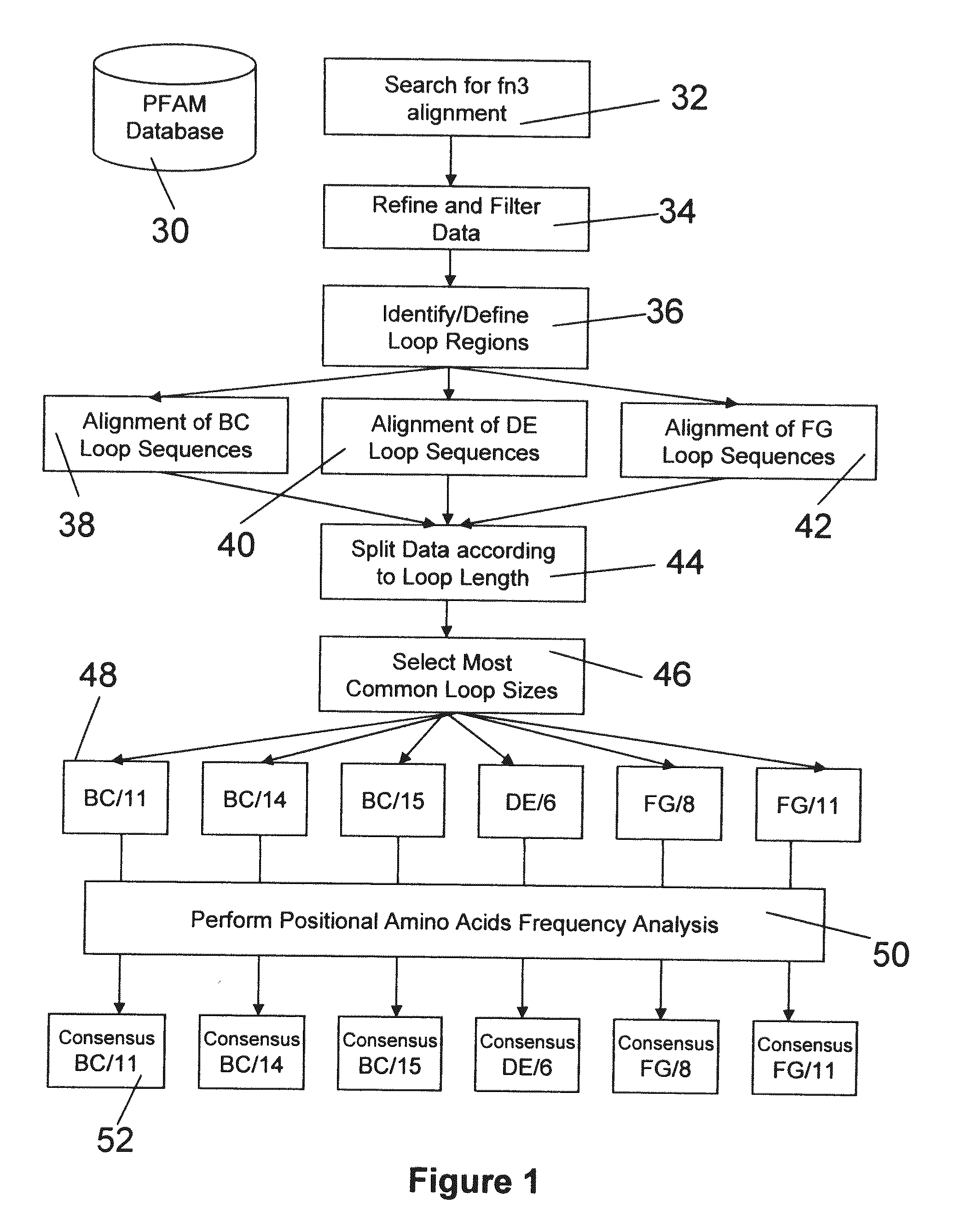 Universal fibronectin type iii binding-domain libraries