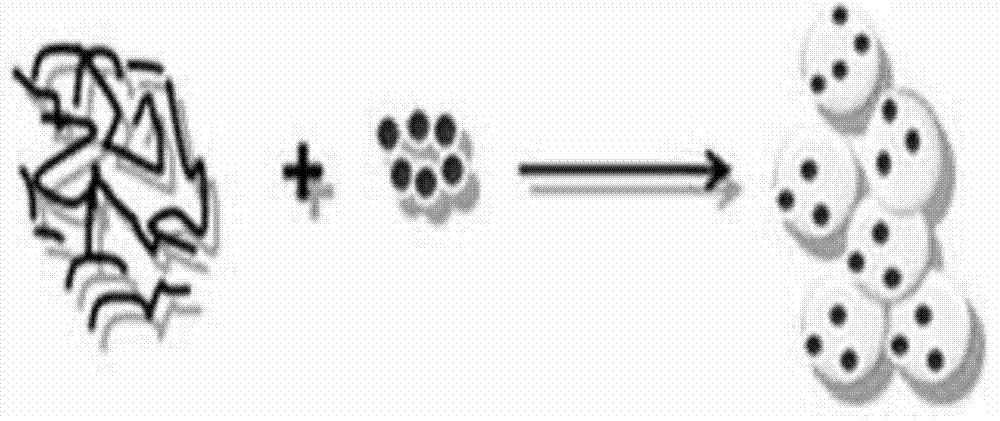 Preparation method and application of polystyrene fluorescent microspheres