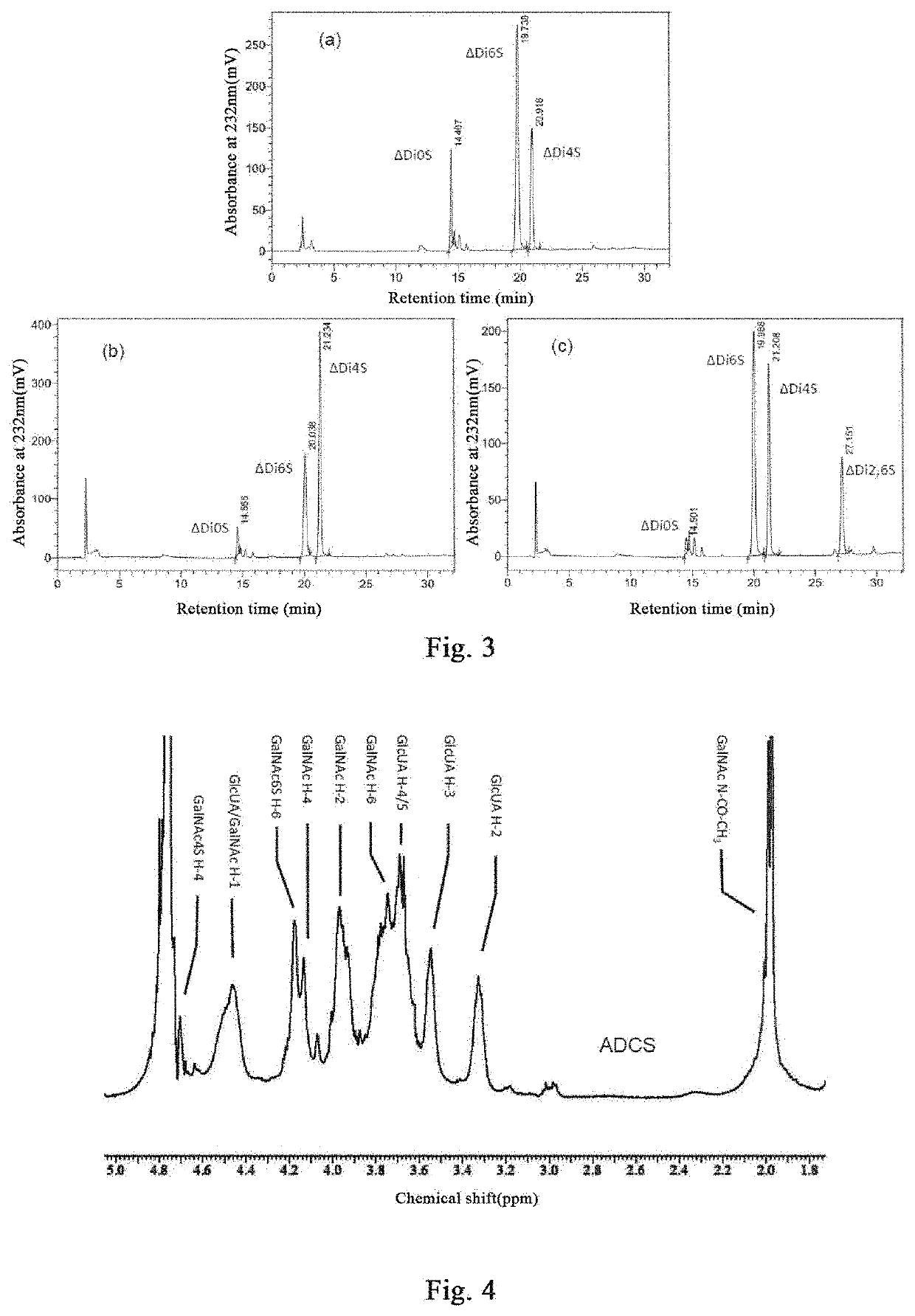 Andrias davidianus cartilage preparation