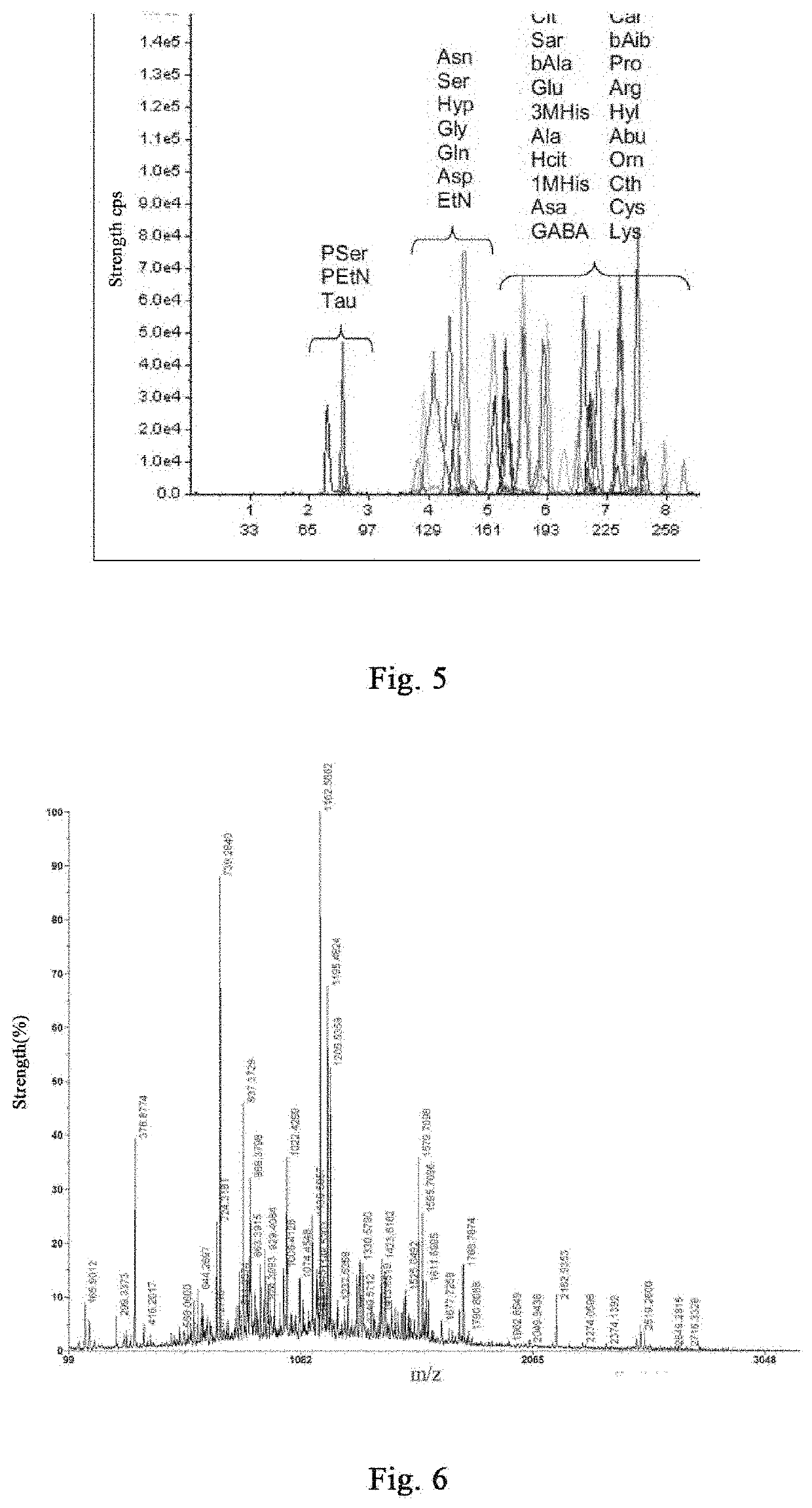 Andrias davidianus cartilage preparation