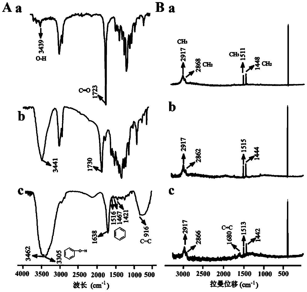 Scaffold material with function of delaying cell aging and applications thereof