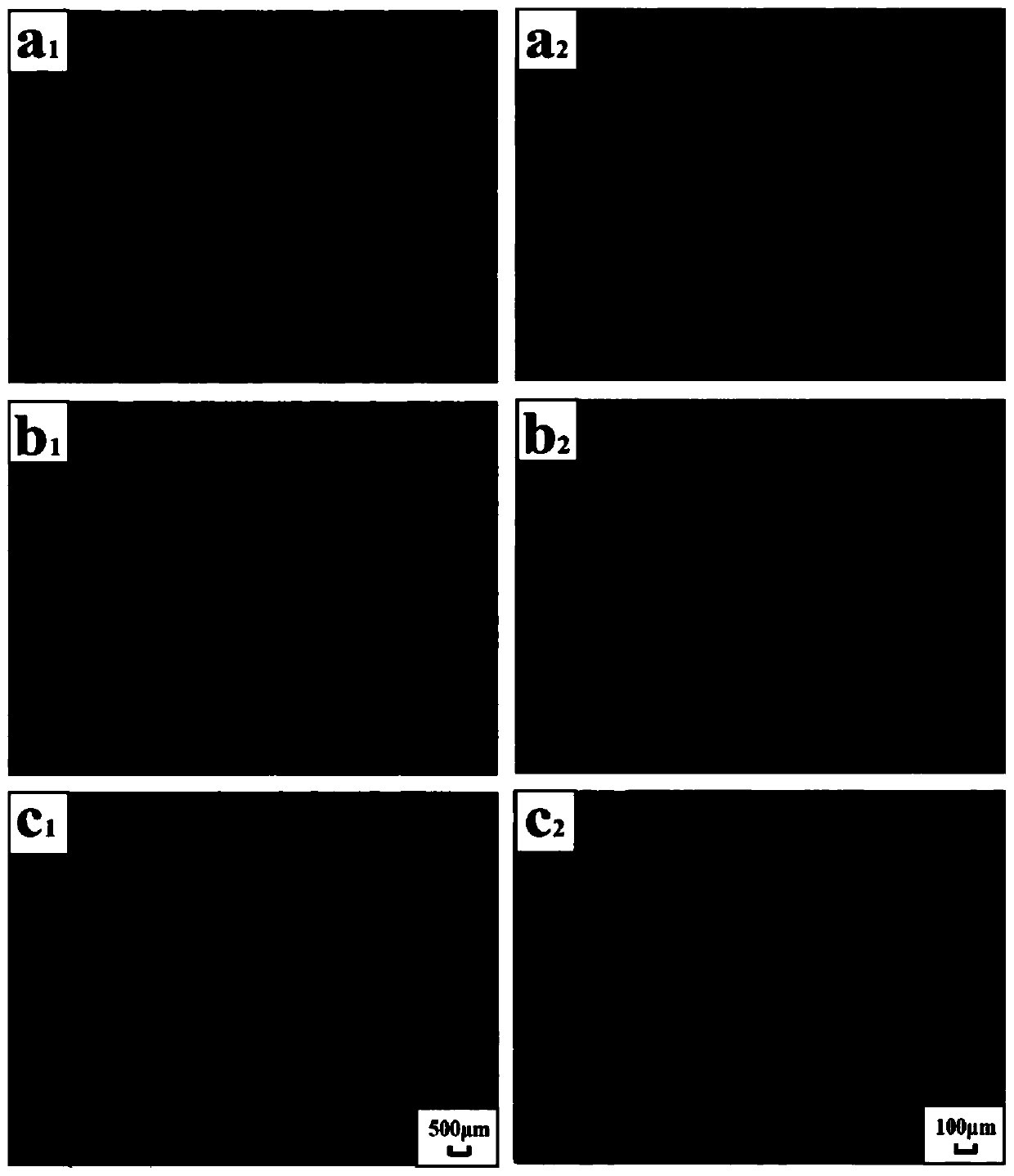 Scaffold material with function of delaying cell aging and applications thereof