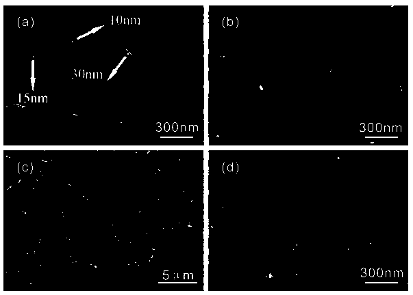 Method for preparing membrane electrode from chitin nano fiber/carbon nanotube composite