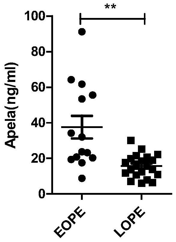 Test strips and kits for rapid screening of late-onset preeclampsia