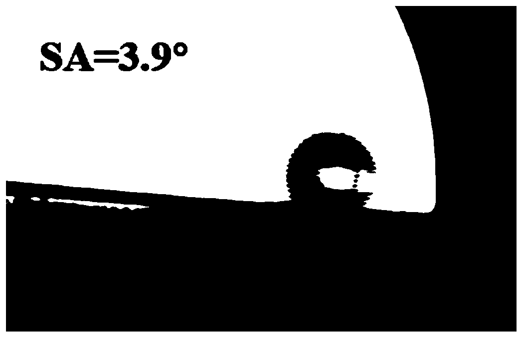 Oil-water separation structure with super-hydrophobic/super-oleophylic performance as well as preparation method and application of oil-water separation structure