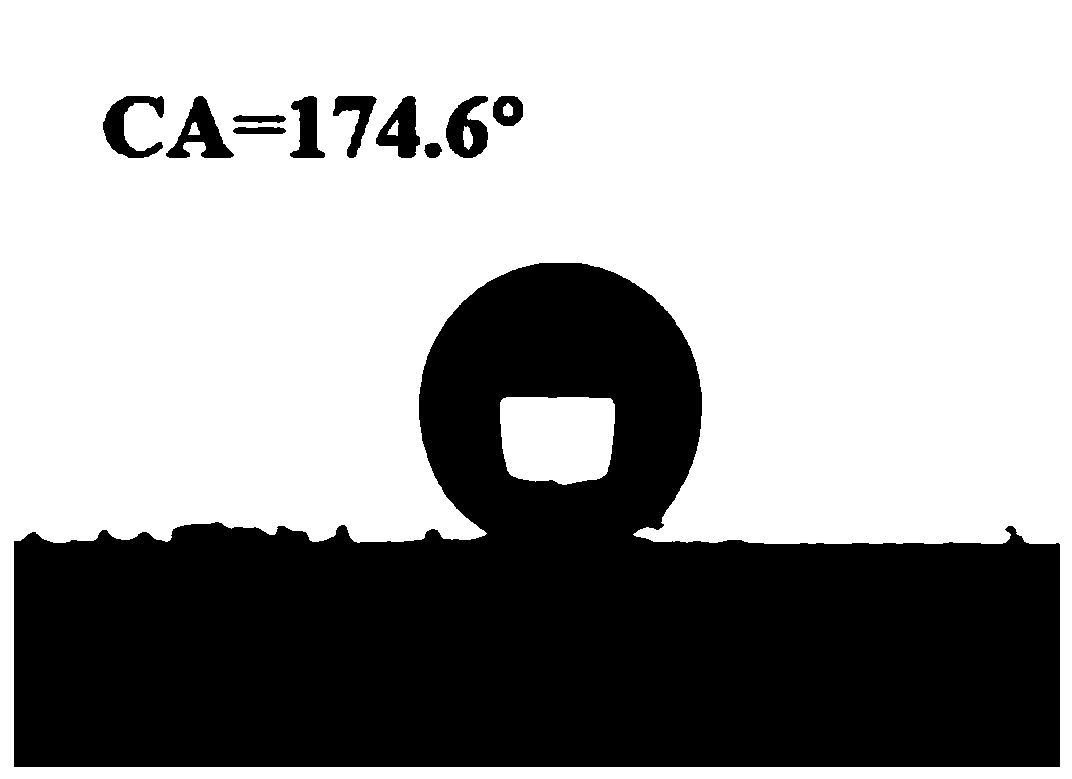 Oil-water separation structure with super-hydrophobic/super-oleophylic performance as well as preparation method and application of oil-water separation structure