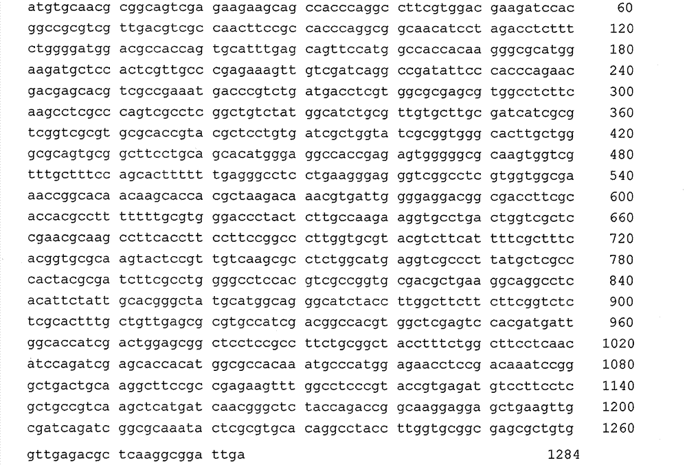 Isochrysis sphaerica delta 4-fatty acid desaturase gene and cloning method thereof