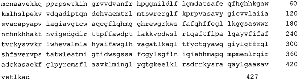 Isochrysis sphaerica delta 4-fatty acid desaturase gene and cloning method thereof