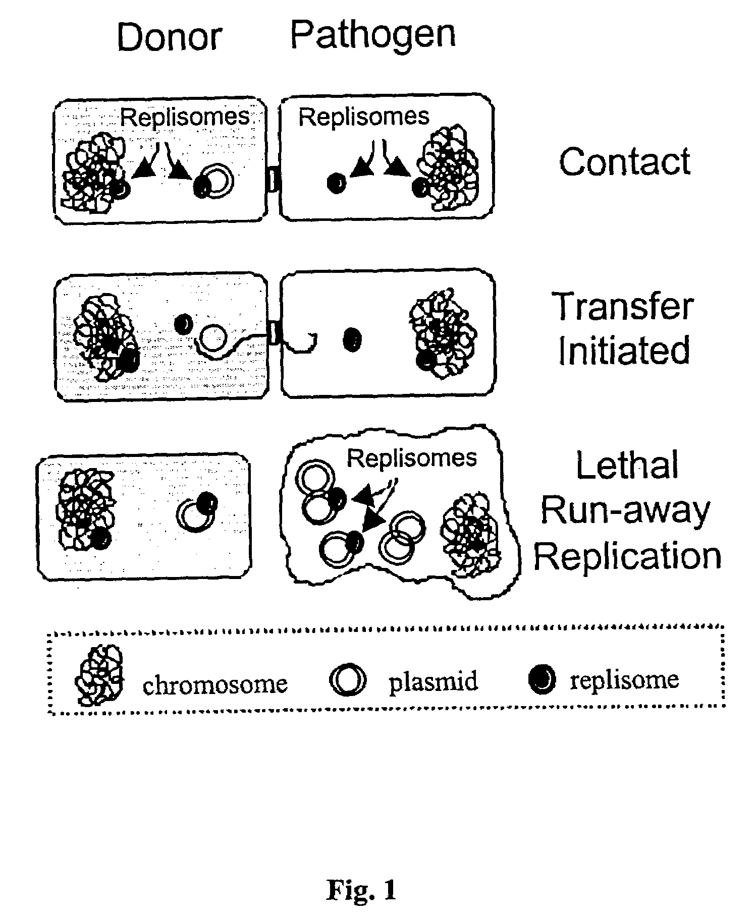 Anti-microbial biotherapeutic agents: alternatives to conventional pharmaceutical antibiotics