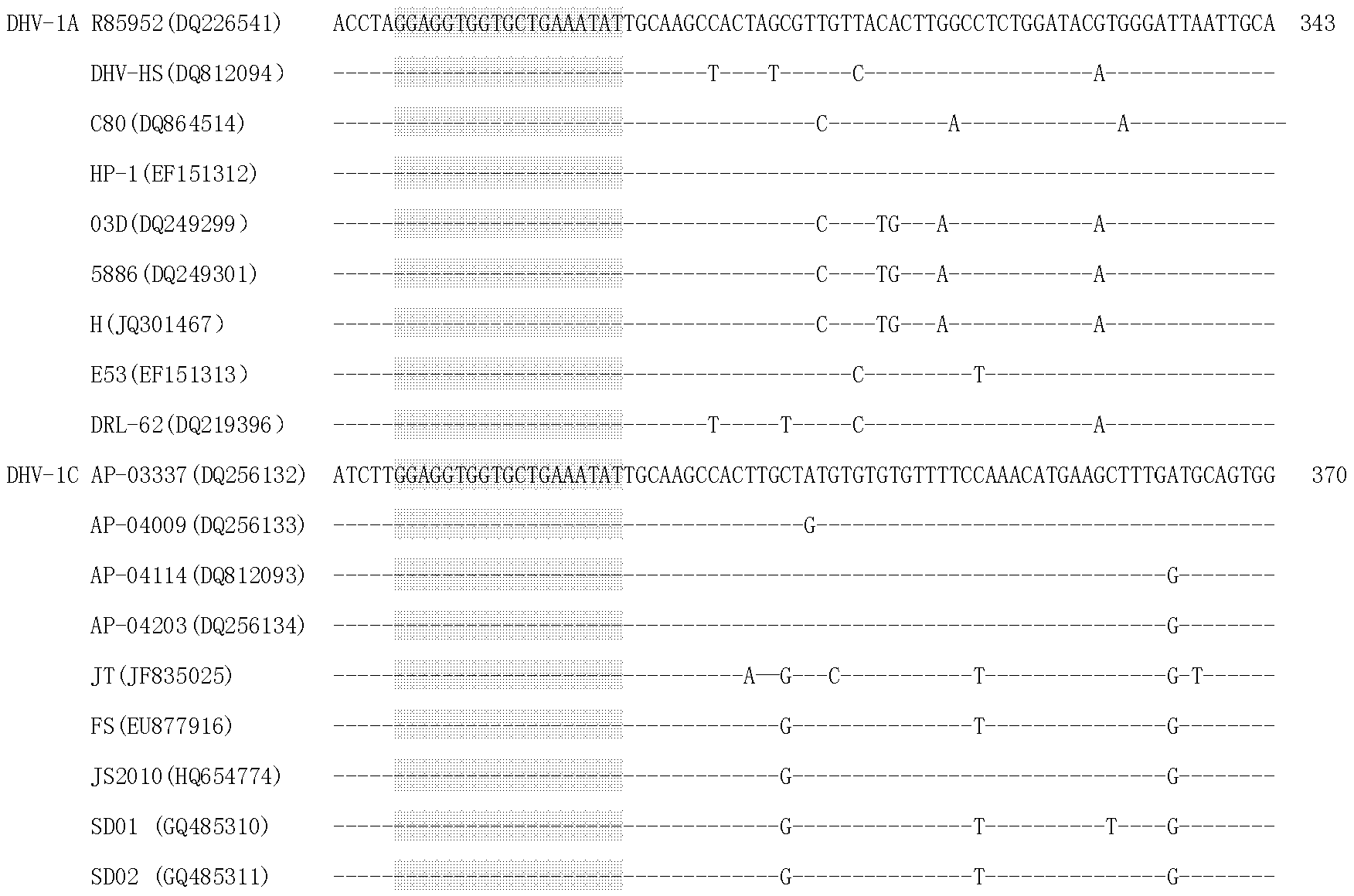 One tube PCR type kit for discriminating I type duck hepatitis virus and new I type duck hepatitis virus