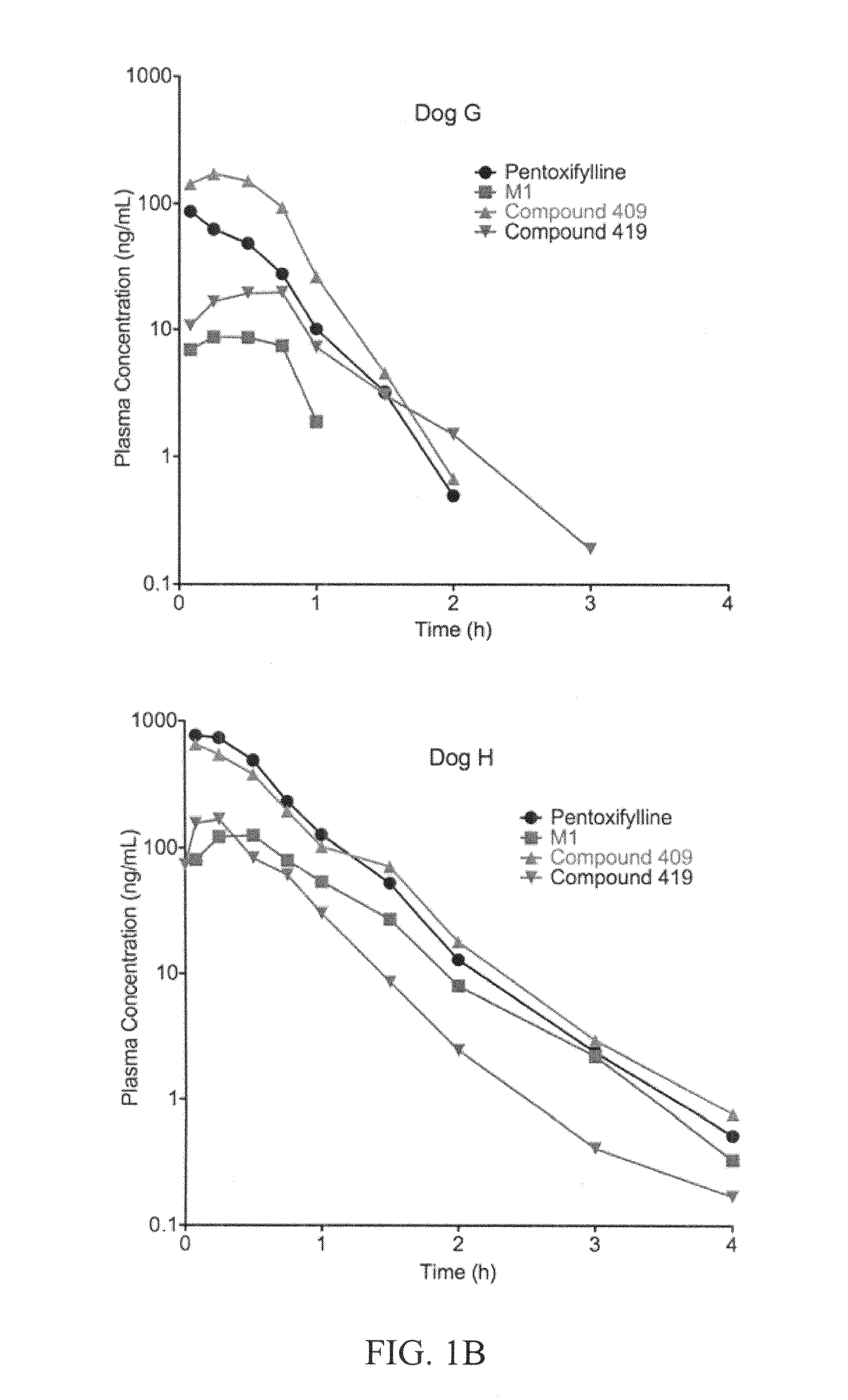 Substituted xanthine derivatives