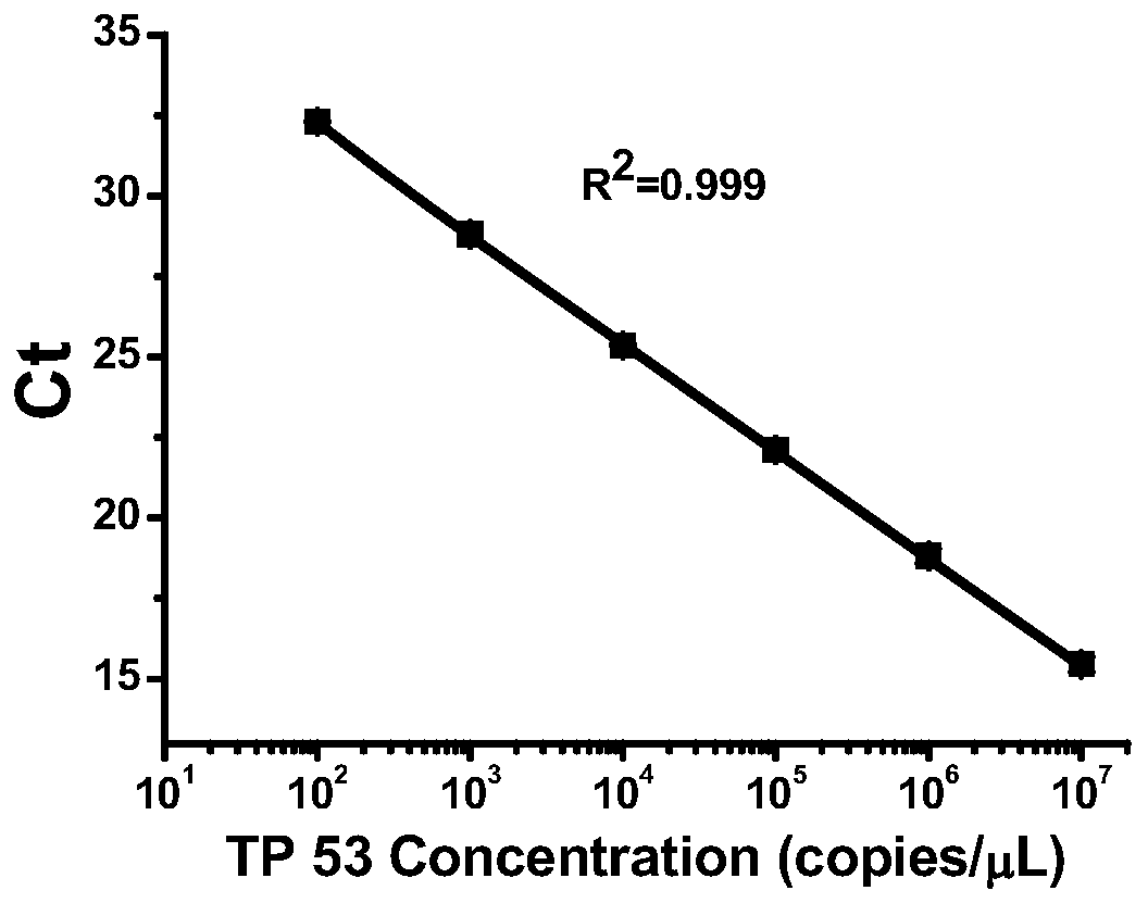 Protective agent, preservation method and application of low-concentration DNA reference material