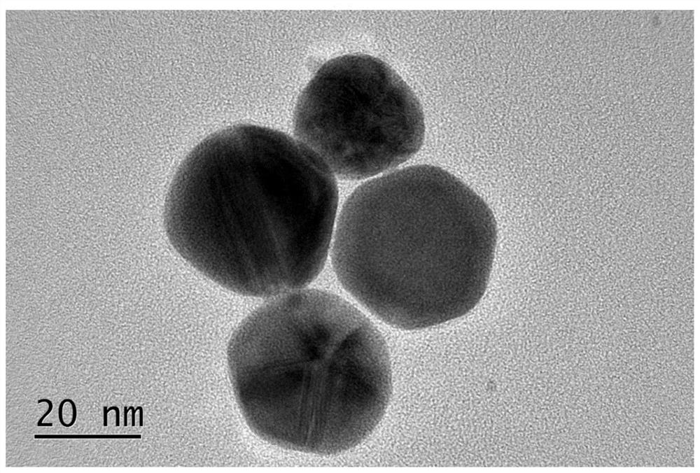 Method for detecting 8-hydroxy-2 '-deoxyguanosine by using gold nanoparticle-based immunochromatography test paper