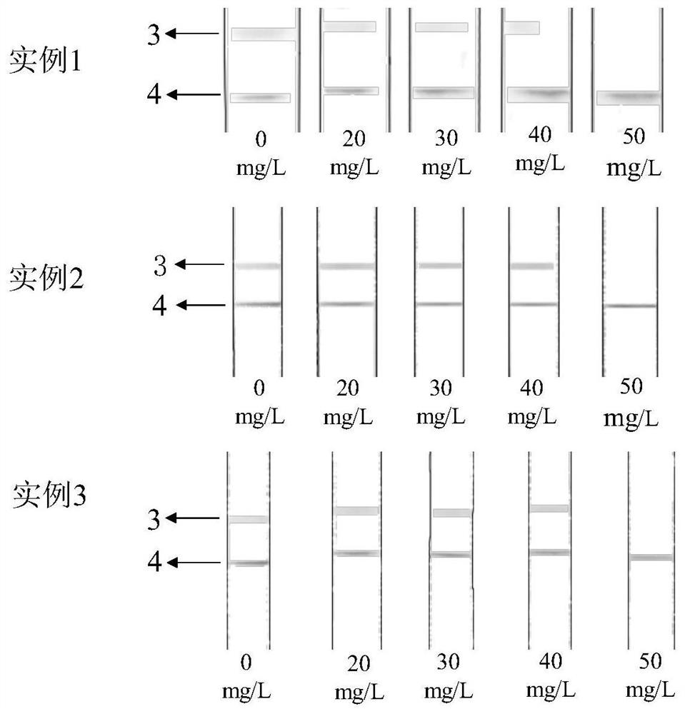 Method for detecting 8-hydroxy-2 '-deoxyguanosine by using gold nanoparticle-based immunochromatography test paper