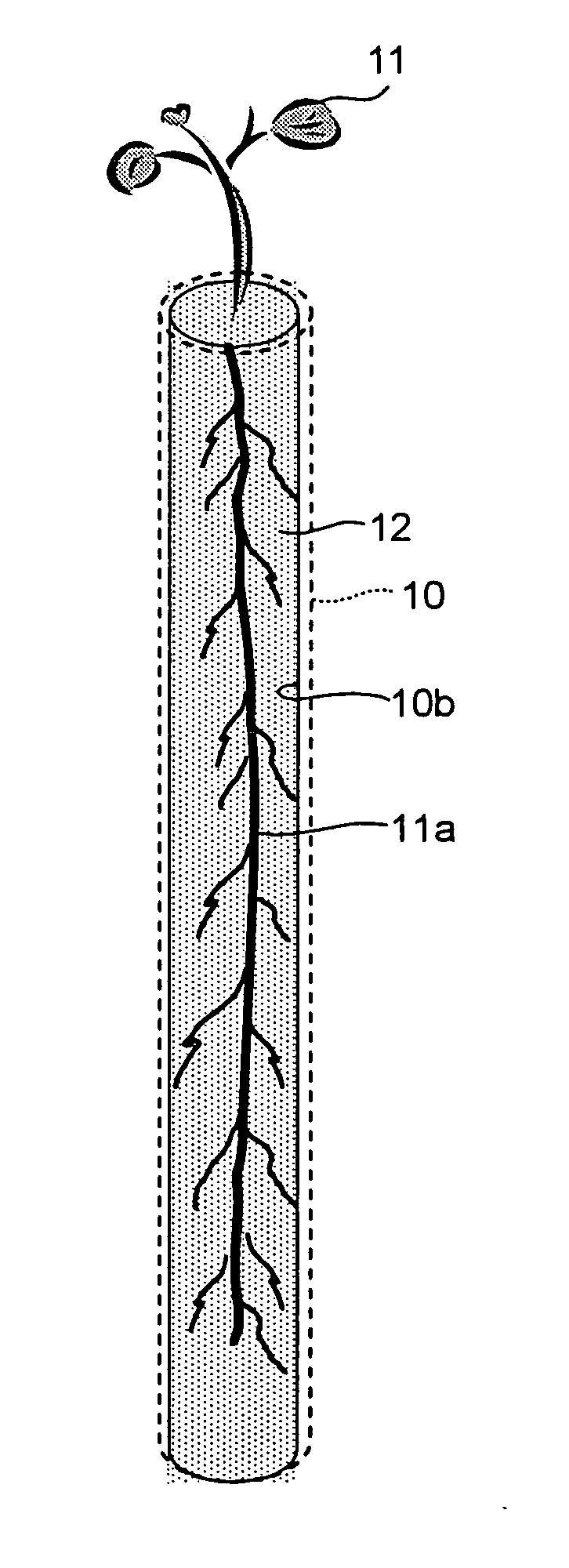 Tool, system, method, and plant for promoting growth of seedling, seedling set for planting, and planting method