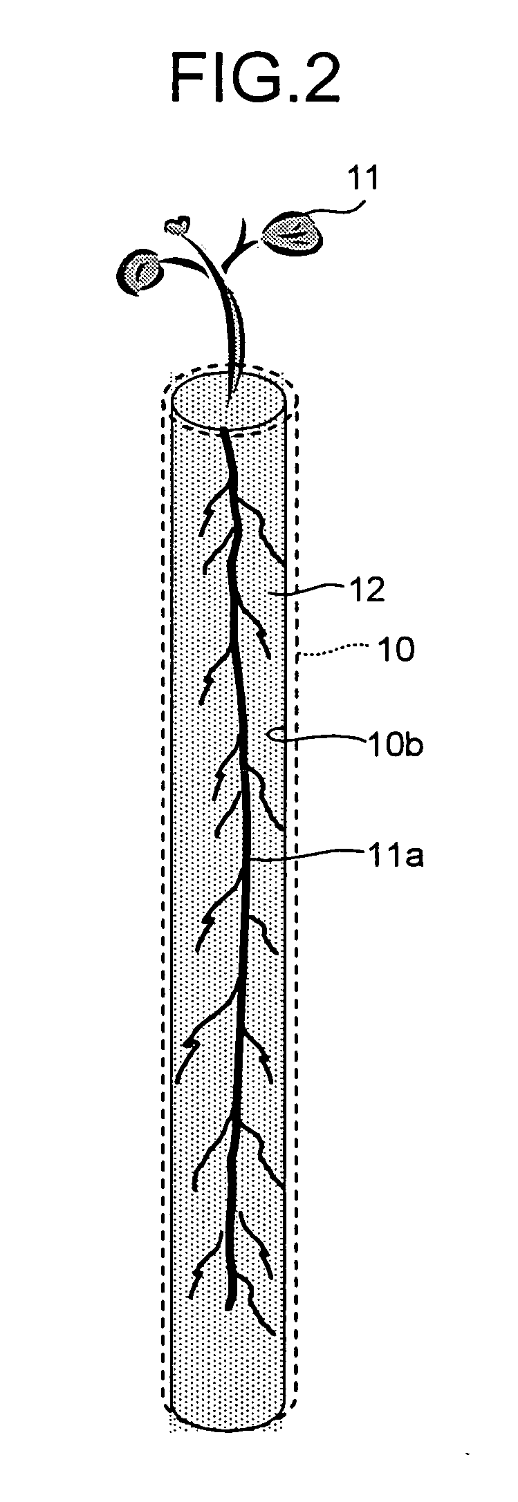 Tool, system, method, and plant for promoting growth of seedling, seedling set for planting, and planting method