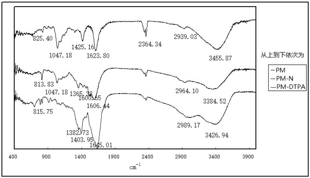 Lymph targeted nuclear magnetic resonance imaging contrast agent with brown algal polysaccharide serving as carrier and preparation method and application of lymph targeted nuclear magnetic resonance imaging contrast agent with brown algal polysaccharide serving as carrier