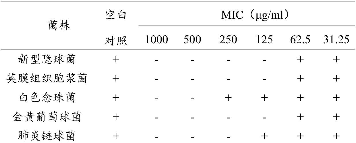 Novel human antimicrobial peptide LL-37 derivative and application thereof