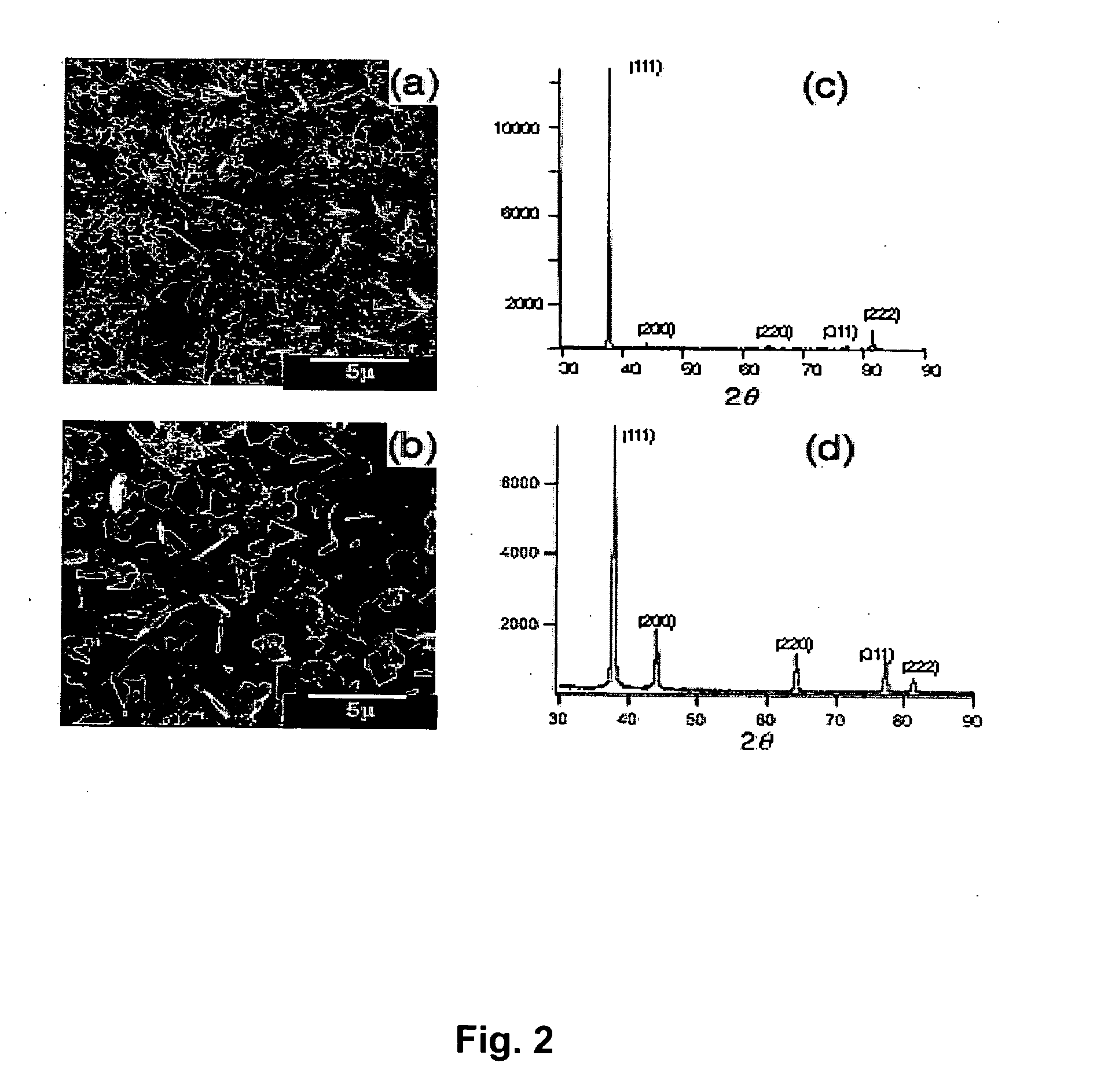 Nanostructured metal-polyaniline composites