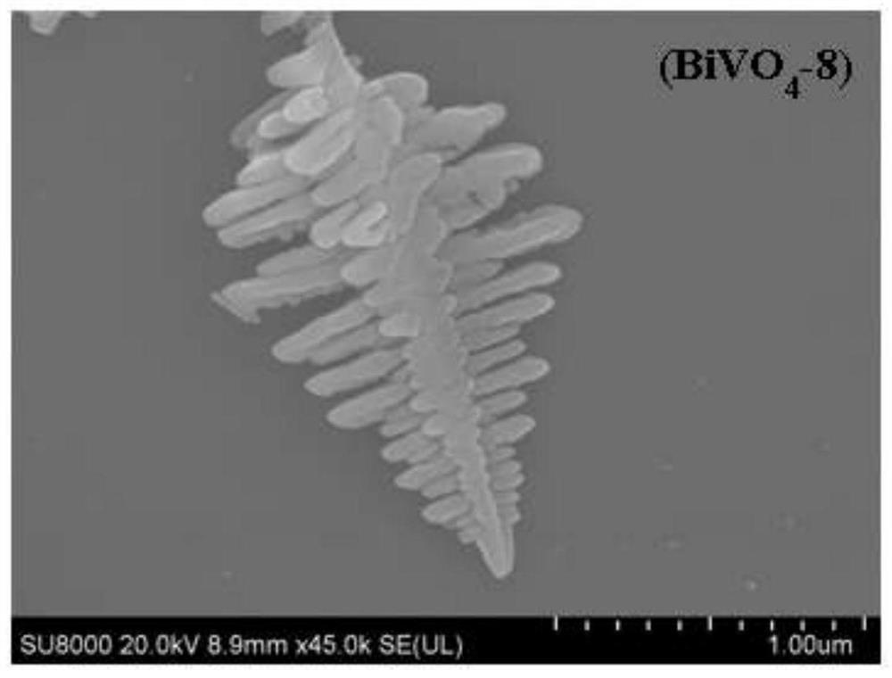 Preparation method of Bi/BiVO4-CdS photocatalyst rich in oxygen vacancies