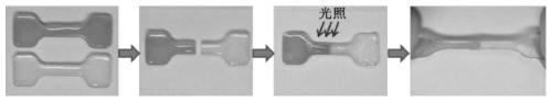 A self-healing light-controlled plastic polyurethane elastomer material, its preparation and application