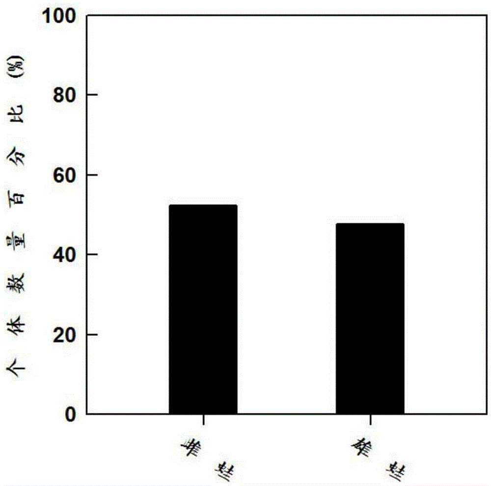 Method for controlling hoplobatrachus tigerinus sex ratio and application of method