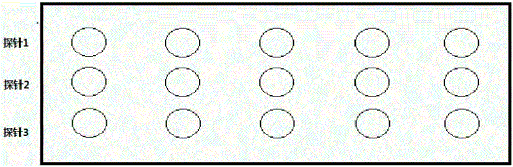 Toxoplasma detecting parallel probes, gene chip, kit and detection method