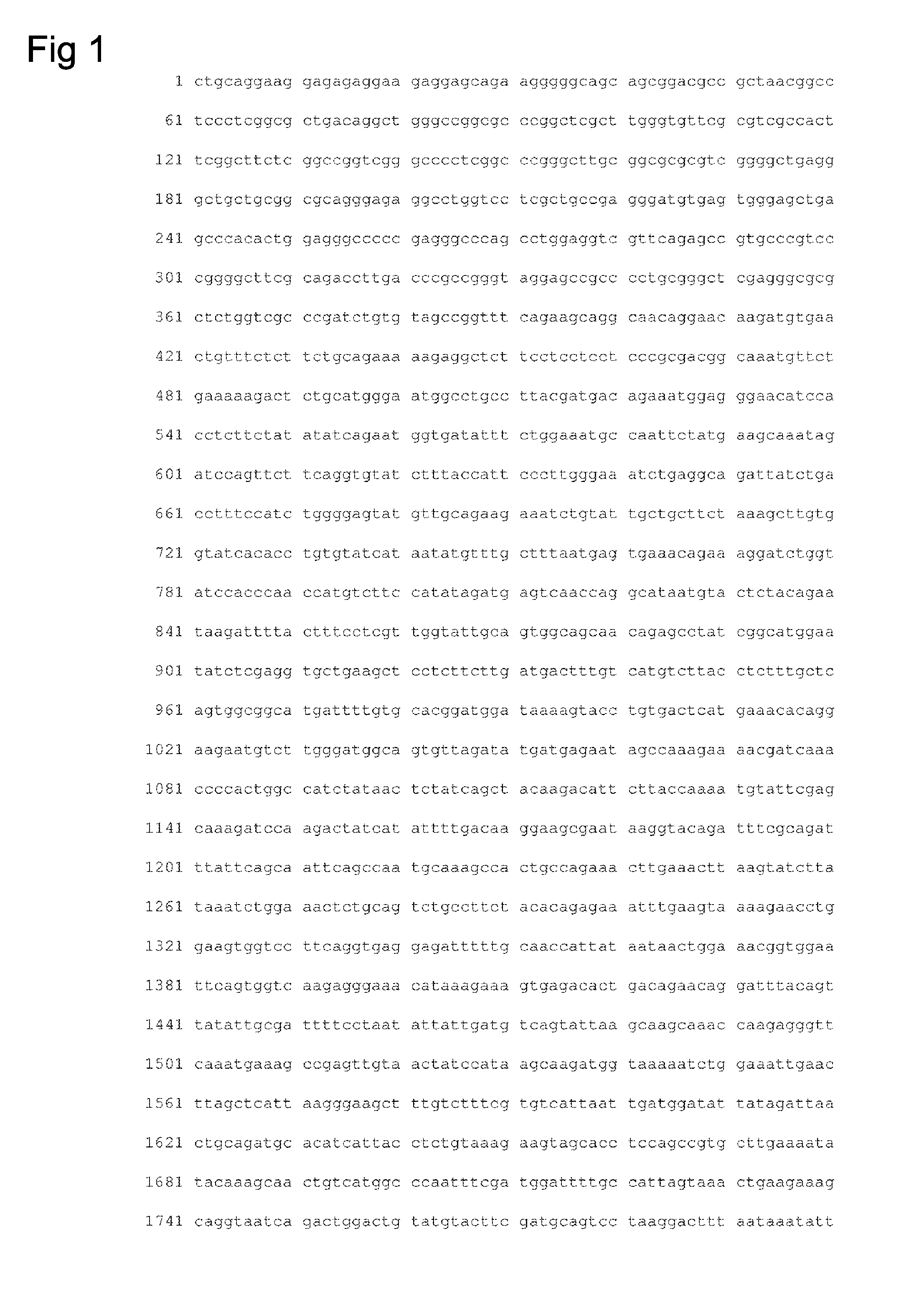 Mutational analysis of JAK2