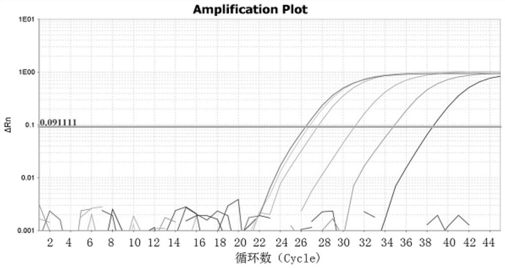 Real-time fluorescent PCR detection method for horse-derived components in food and feed