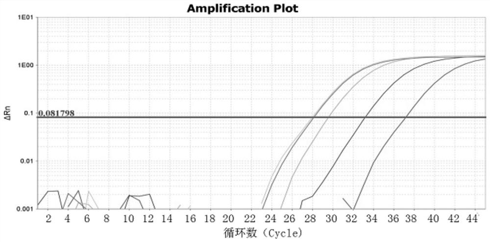 Real-time fluorescent PCR detection method for horse-derived components in food and feed