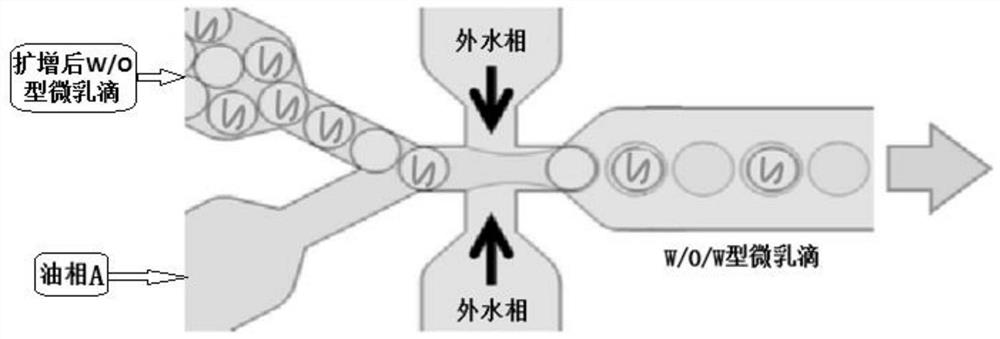 A kind of microemulsion droplets of products after w/o/w type pcr amplification based on microfluidic system and preparation method thereof
