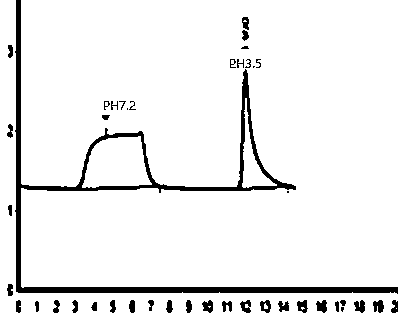 Preparation method and application of purified avidin medium based on 6B agarose microsphere