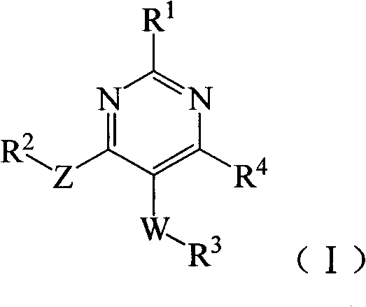 Substituted miazines compound