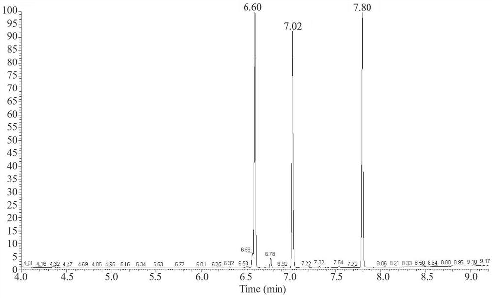 Functional cigarette filter stick with perfuming carrier as well as preparation method and application of functional cigarette filter stick