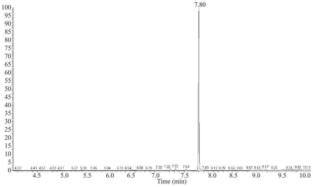 Functional cigarette filter stick with perfuming carrier as well as preparation method and application of functional cigarette filter stick