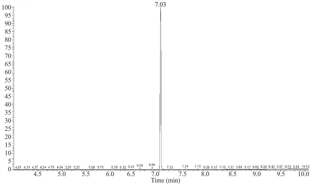 Functional cigarette filter stick with perfuming carrier as well as preparation method and application of functional cigarette filter stick