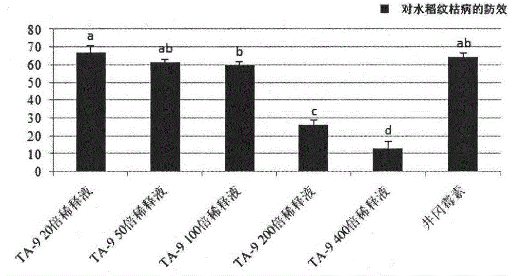 Trichoderma atroviride Ta-9 strain and application thereof in prevention and control of rice diseases