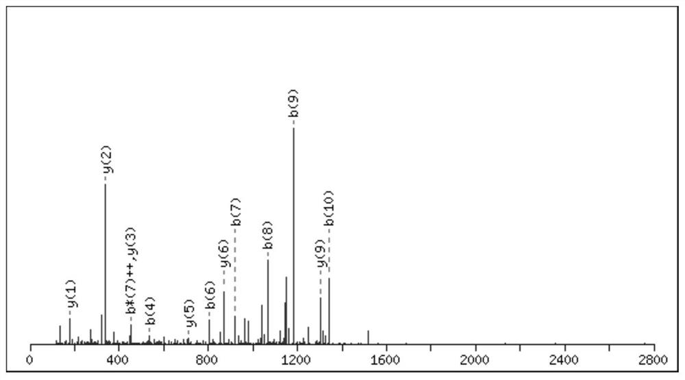 Two kinds of conotoxin peptides, their preparation method and application